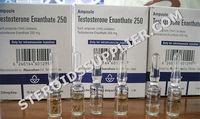 Testosterone Enanthate 250